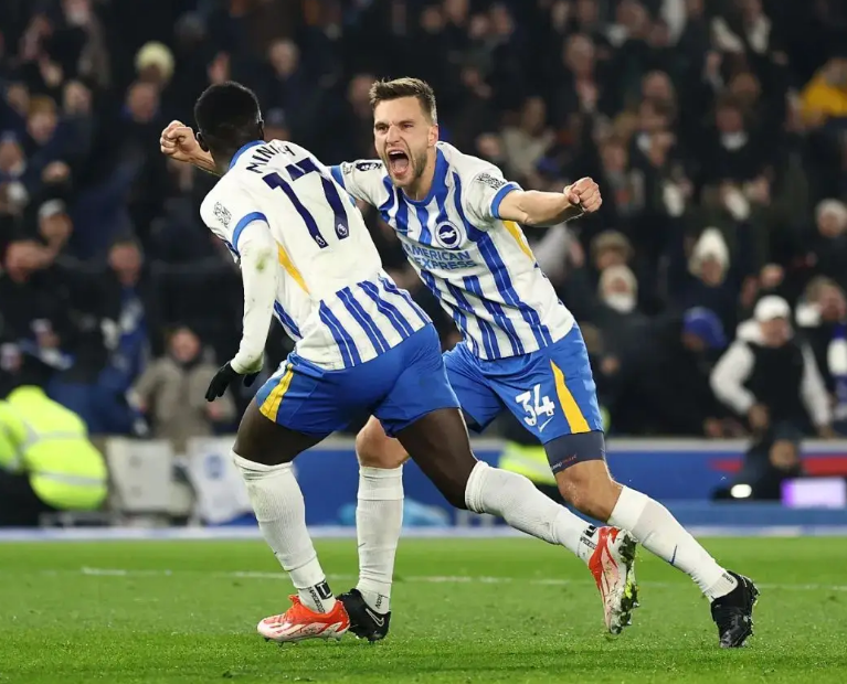 布莱顿主力球员名单