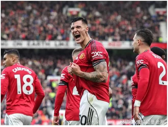 布莱顿主力球员名单